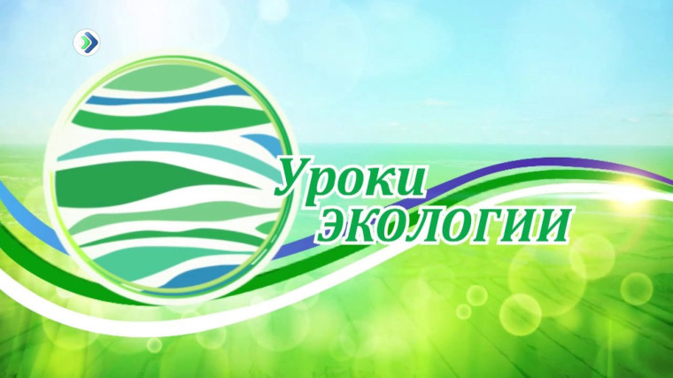 Экологический урок.